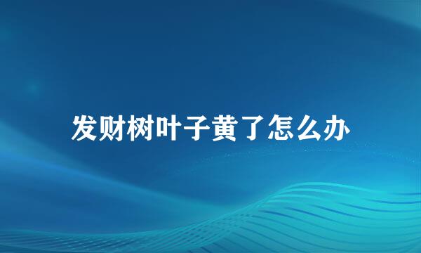 发财树叶子黄了怎么办