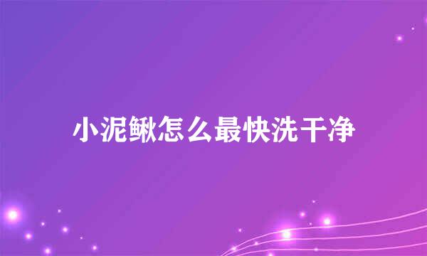 小泥鳅怎么最快洗干净