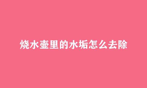 烧水壶里的水垢怎么去除