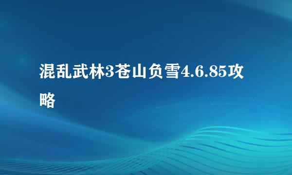 混乱武林3苍山负雪4.6.85攻略