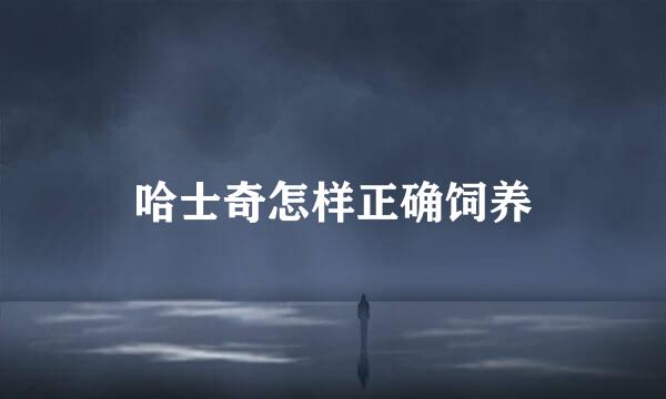 哈士奇怎样正确饲养