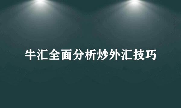 牛汇全面分析炒外汇技巧