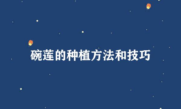 碗莲的种植方法和技巧