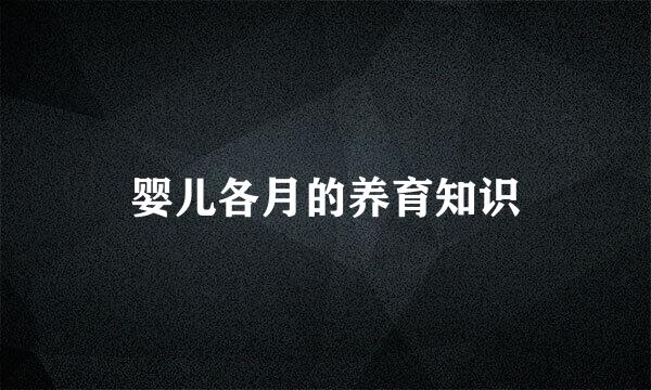 婴儿各月的养育知识