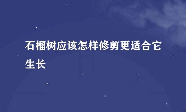 石榴树应该怎样修剪更适合它生长