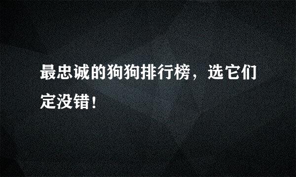 最忠诚的狗狗排行榜，选它们定没错！