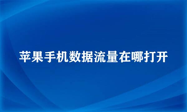苹果手机数据流量在哪打开