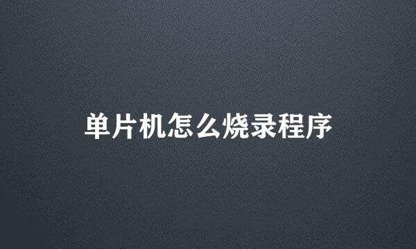 单片机怎么烧录程序
