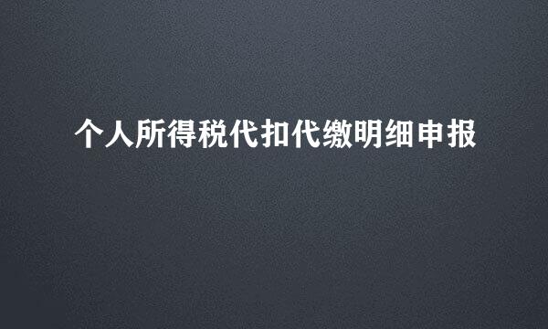 个人所得税代扣代缴明细申报