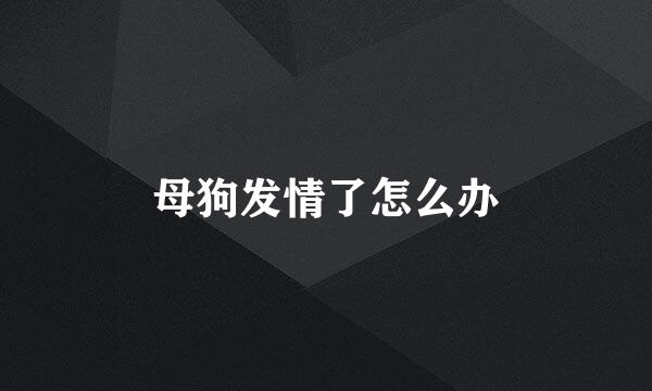 母狗发情了怎么办
