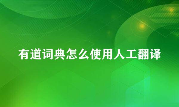 有道词典怎么使用人工翻译