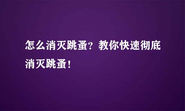 怎么消灭跳蚤？教你快速彻底消灭跳蚤！