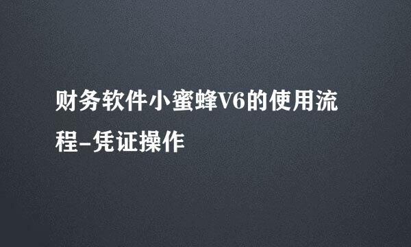 财务软件小蜜蜂V6的使用流程-凭证操作