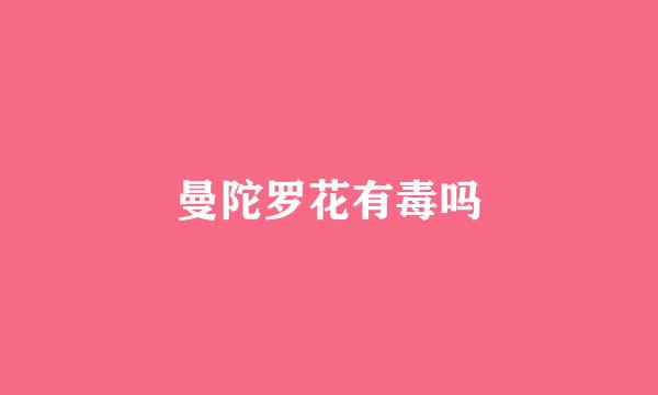 曼陀罗花有毒吗