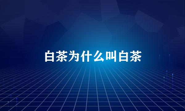 白茶为什么叫白茶