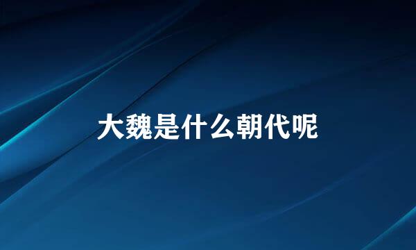 大魏是什么朝代呢