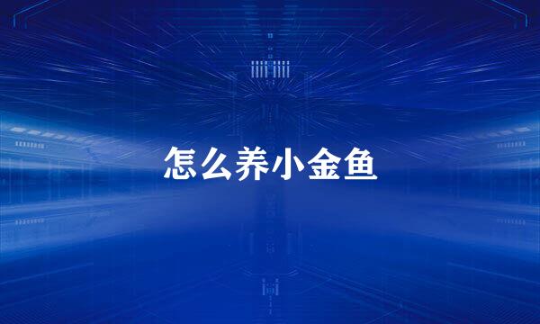 怎么养小金鱼