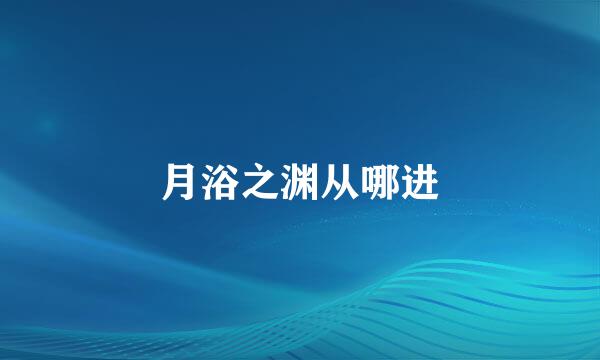 月浴之渊从哪进