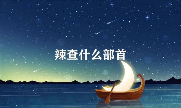 辣查什么部首