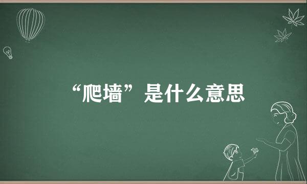 “爬墙”是什么意思