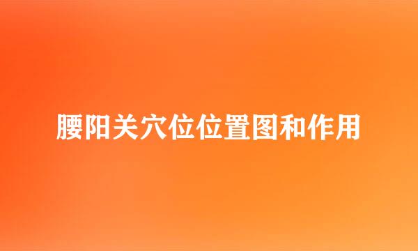 腰阳关穴位位置图和作用