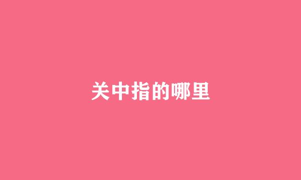 关中指的哪里