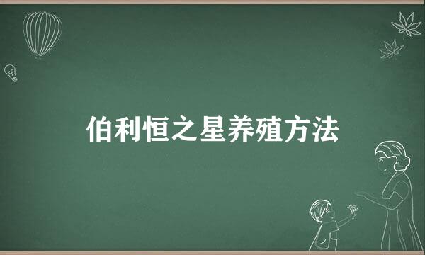 伯利恒之星养殖方法