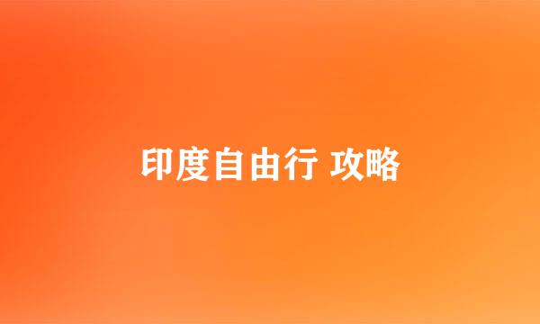 印度自由行 攻略