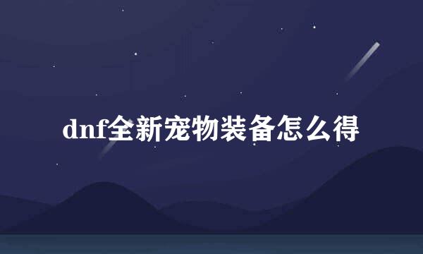 dnf全新宠物装备怎么得