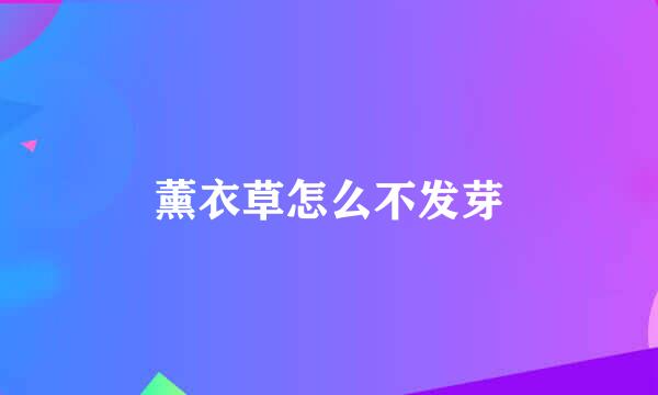 薰衣草怎么不发芽