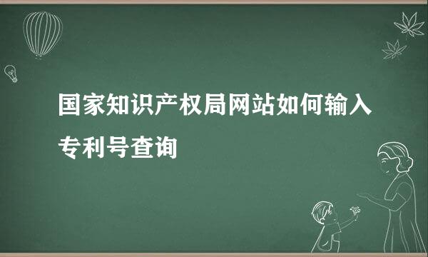 国家知识产权局网站如何输入专利号查询