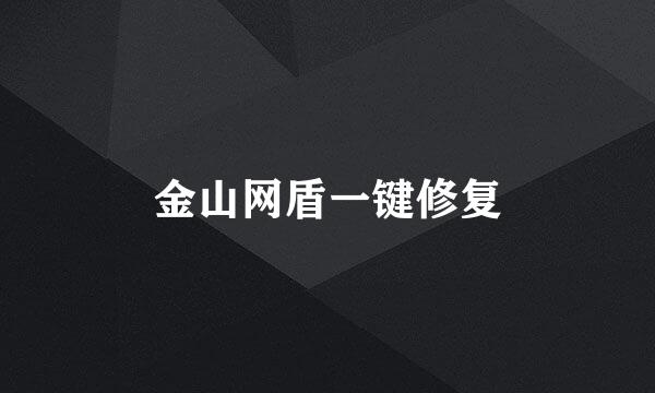 金山网盾一键修复