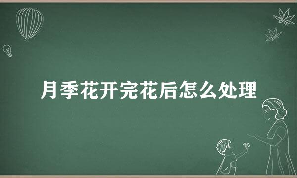 月季花开完花后怎么处理