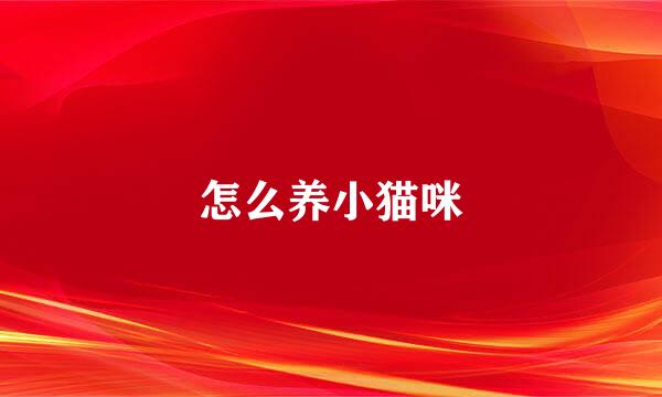 怎么养小猫咪