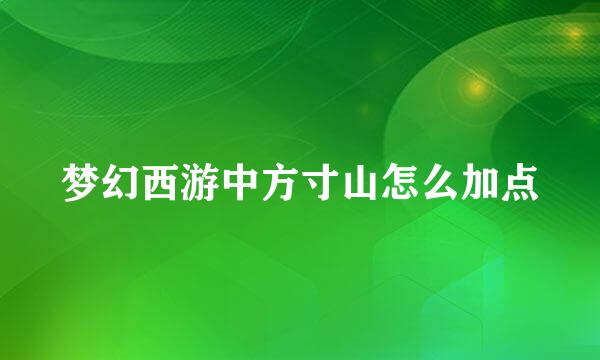 梦幻西游中方寸山怎么加点