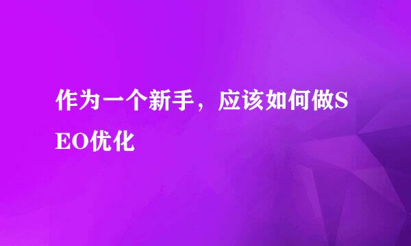 作为一个新手，应该如何做SEO优化