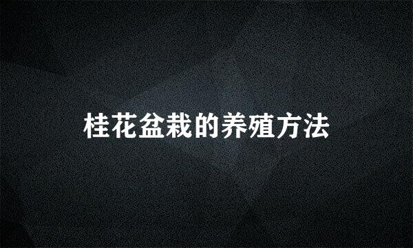 桂花盆栽的养殖方法