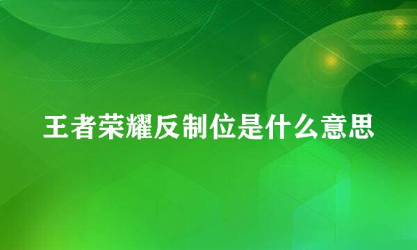 王者荣耀反制位是什么意思
