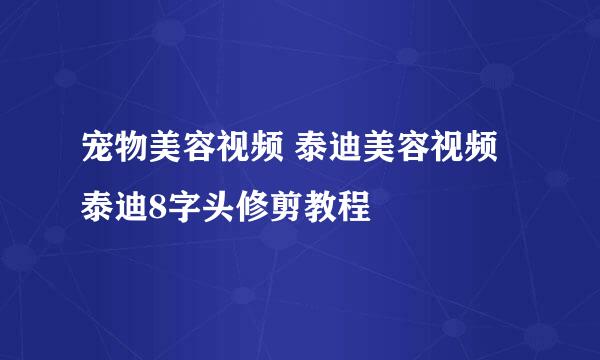 宠物美容视频 泰迪美容视频 泰迪8字头修剪教程