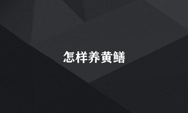 怎样养黄鳝