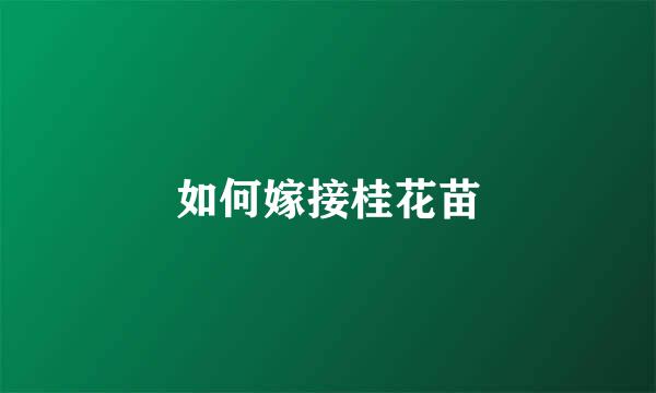 如何嫁接桂花苗