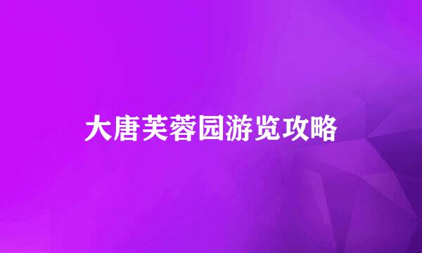 大唐芙蓉园游览攻略