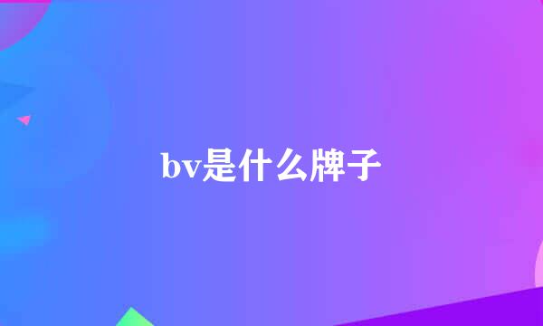 bv是什么牌子