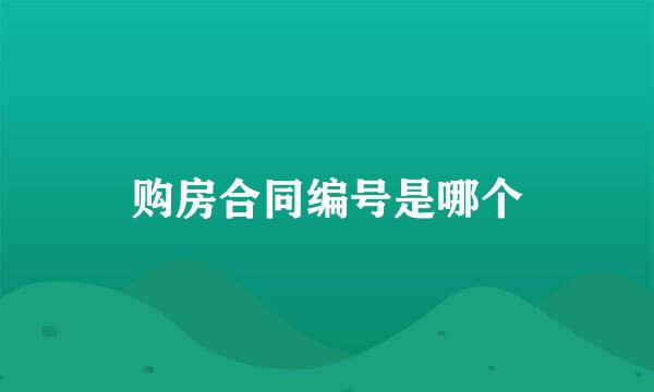 购房合同编号是哪个