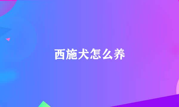 西施犬怎么养