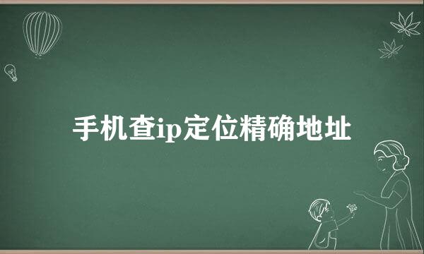 手机查ip定位精确地址