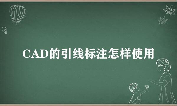 CAD的引线标注怎样使用