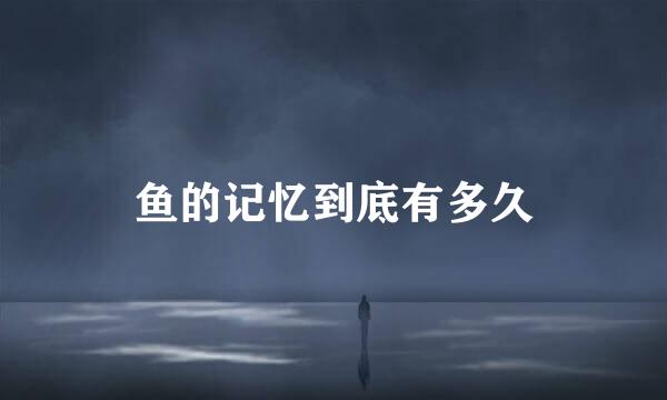 鱼的记忆到底有多久