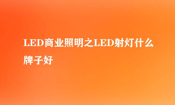 LED商业照明之LED射灯什么牌子好