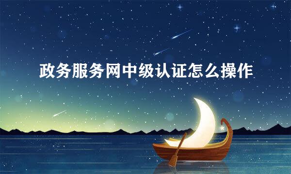 政务服务网中级认证怎么操作